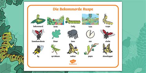 Die Bekommerde Ruspe Woordmat Lehrer Gemacht Twinkl