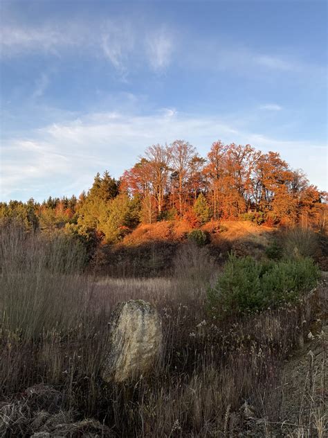 Sand Und Kiesabbau Im Trockenabbauverfahren Bei Mainburg Wankner