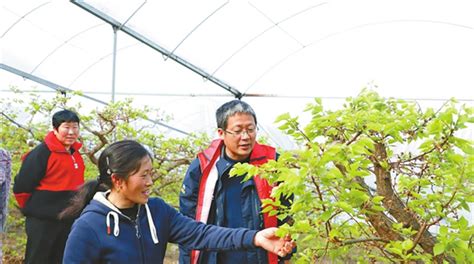 沙坪坝：科技特派员送“技”下乡助力乡村振兴 重庆市人民政府网