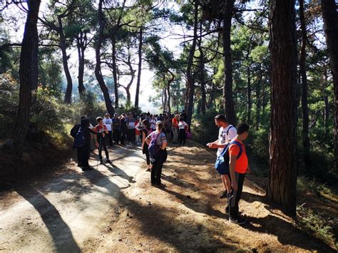 K Rm Z Tepe Ve Zeytin D Z Tirilye Bursa Turizm Portal Gotobursa