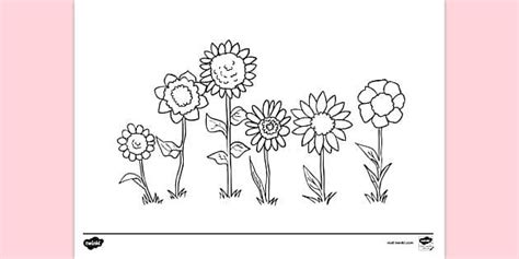 Flower Garden Colouring Page Colouring Sheets Twinkl