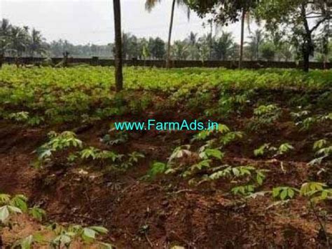 Cents Agriculture Land For Sale In Nedumbassery Mt From Nh Kochi