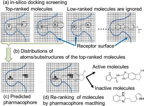 Schematic Representation Of The Pharmacogram Method And The Grid Type