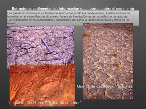 Estructuras Sedimentarias Ppt