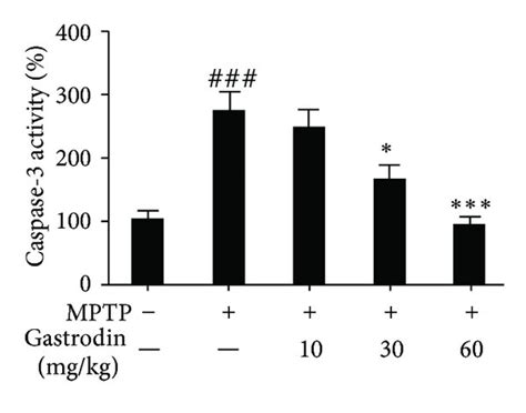 Effects Of Gastrodin On Bax And Bcl Mrna Expression And Caspase