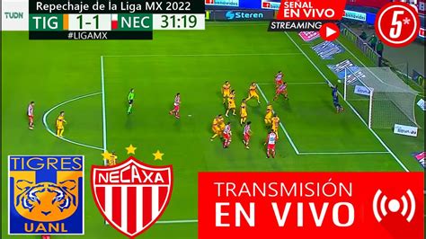 Tigres Vs Necaxa En Vivo Ver Tigres Vs Necaxa En Vivo Repechaje