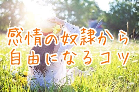 【自分の感情に振り回されないコツ】感情は固定概念による反応！「なぜこう思うのか？」を考える 自由人法帳