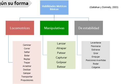 Incompleto Calma Tutor Clasificacion De Las Habilidades Motrices