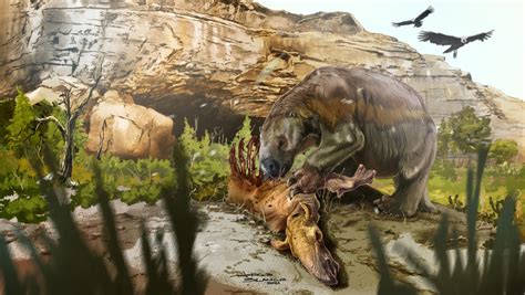 Extinct Ground Sloth Mylodon Darwinii Likely Ate Meat With Its Veggies