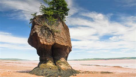 New Brunswick Travel Guide And Travel Information