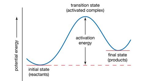 Potential Energy Curve Britannica