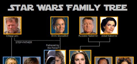 Star Wars Larbre Généalogique De La Famille Skywalker