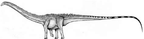 Amphicoelias Pictures & Facts - The Dinosaur Database