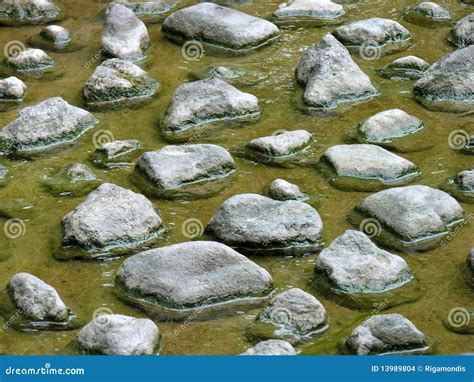 Step Stone Stock Photo Image Of Background Japanese 13989804