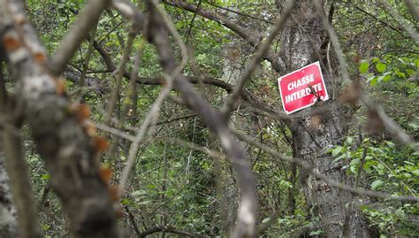 Interdire la chasse sur les biens communaux en présence dune ACCA