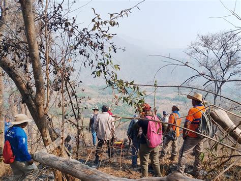 Afecta Incendio Forestal M S De Cien Hect Reas En La Sierra De Atoyac