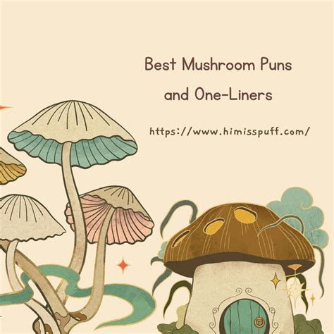 85 Mushroom Puns And Jokes To Make You Laugh HMP