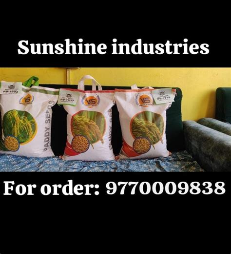 Natural Pusa Basmati 1509 Paddy Seeds Packaging Type PP Bag