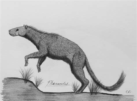 Phenacodus Primaevus By Acrosaurotaurus On Deviantart