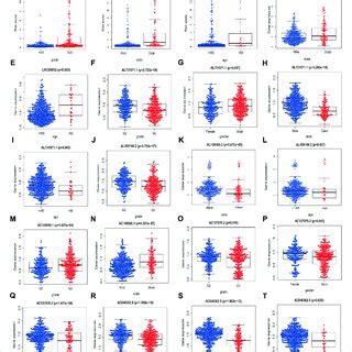 Expression Of M G Related Mrnas And Prognostic M G Related Lncrnas