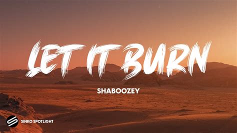 Let It Burn Shaboozey YouTube