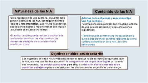 Normas Internacionales De AuditorÍa Nia Ppt Descargar