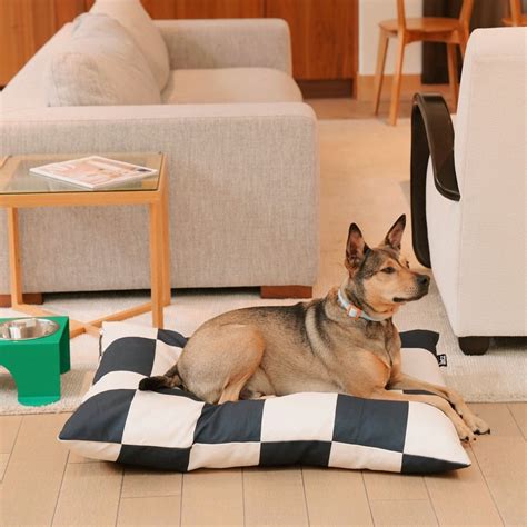 The 12 Best Luxury Dog Beds Of 2024