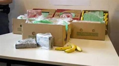 Trovano Carico Di Droga Tra Le Banane Operai Non Capiscono E Gettano