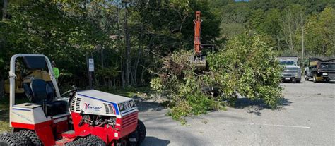 Tree & Shrub Removal - Landscape Incorporated