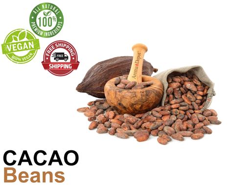 Raw Cacao Cocoa Beans Raw Chocolate Arriba Nacional Bean Pure