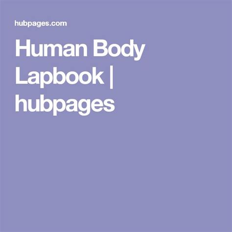 Human Body Lapbook Human Body Lapbook Lapbook Human Body