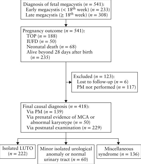 Fetal Megacystis A Lot More Than Luto Fontanella 2019 Ultrasound