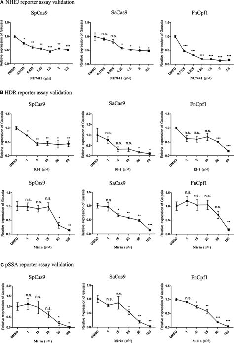 Validation Of Reporter Assays By Small Molecules A Validation Of The