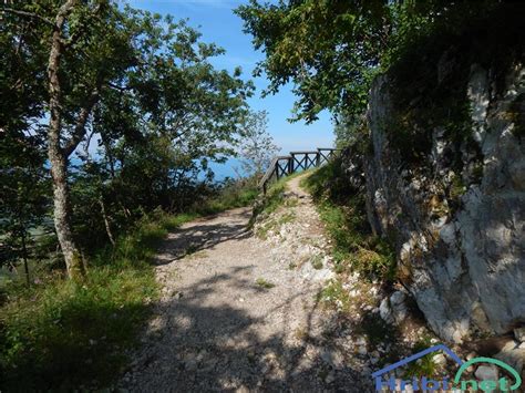 Preddvor Planinska Ko A Iskra Na Jakobu Po Markirani Poti Slika