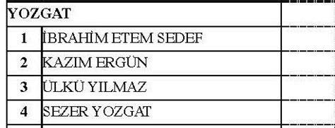 Mhp Milletvekili Adaylar N N Tam Listesi Sayfa