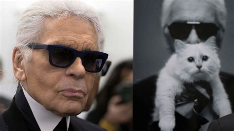 Choupette, Karl Lagerfeld’s Cat, Has a Million Reasons to Purr - The ...