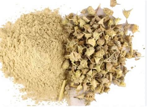 Gokhru Extract Tribulus Terrestris Extract Packaging Type Polybag