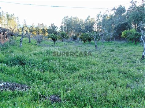 Quintas E Casas R Sticas Casa R Stica T Venda Em Cumeada E