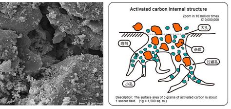 Glossary Zhulin Carbon