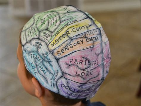 Brain Hat Template A School Of Fish Brain Hats Cerebral Cortex