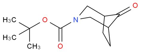 Tert Butyl 1S 5R 3 2 Methylpropan 2 Yl Oxycarbonylamino 8