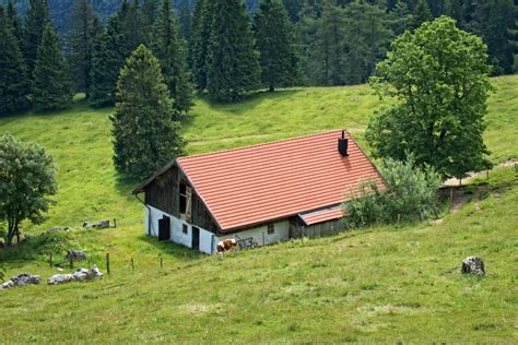 Fotos gratis paisaje naturaleza bosque montaña excursionismo