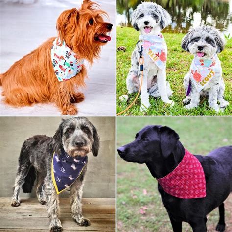 Easy DIY Dog Bandana Pattern - Blitsy