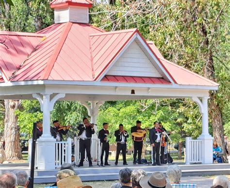 Daily Star Obituaries: Honoring the Legacy of Oneonta NY 6