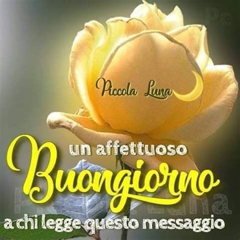 Pin Di Giulia Poddi Su Buongiorno Buongiorno Messaggi Leggende