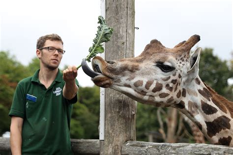 Zoologists In A Zoo