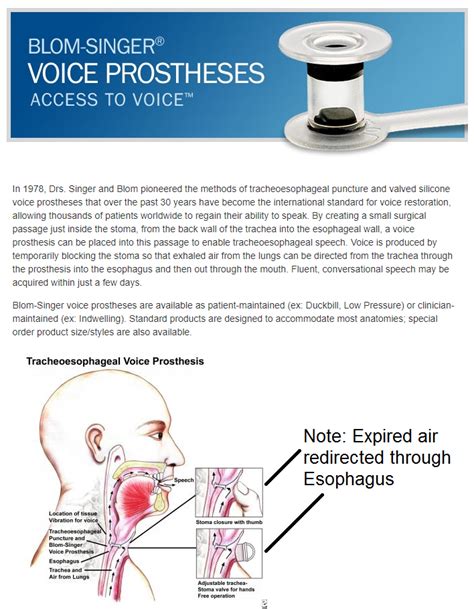 Tracheoesophageal Speech