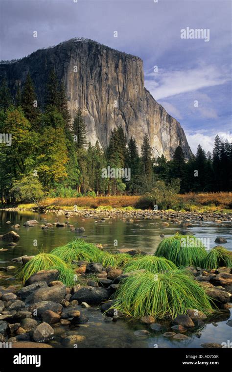 El Capitan Over The Merced River Gates Of The Valley Yosemite Valley