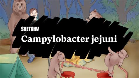 Aprende Sobre Campylobacter Jejuni Sketchy Microbiología Español Youtube