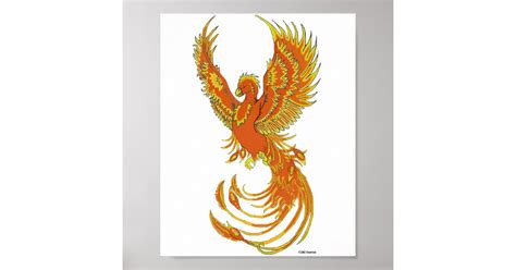 Phoenix Rising Poster Zazzle